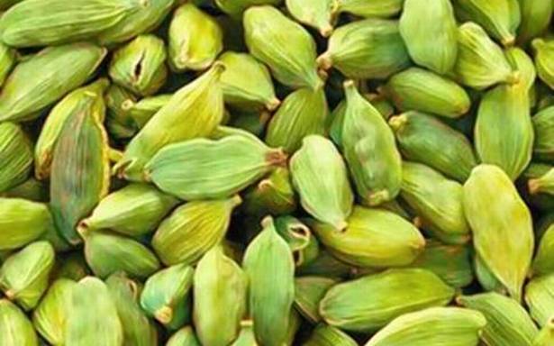 01 Oct Agriculture Current Affairs, Spices Board to Restart 2 auction for cardamom from 1st Oct