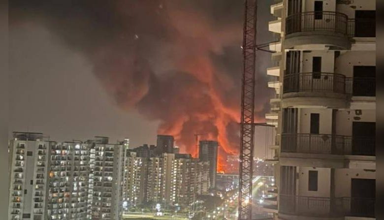 Noida Fire Latest Updates: Noida fire broke out in Sector 49, 12 fire engines caught