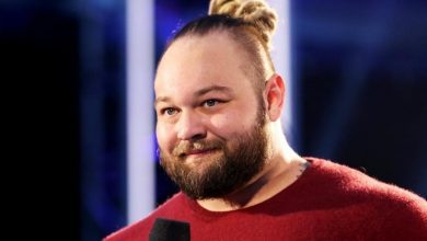 WWE: Why Was Bray Wyatt Arrested? Reason Mugshots Images & Video Viral on Twitter