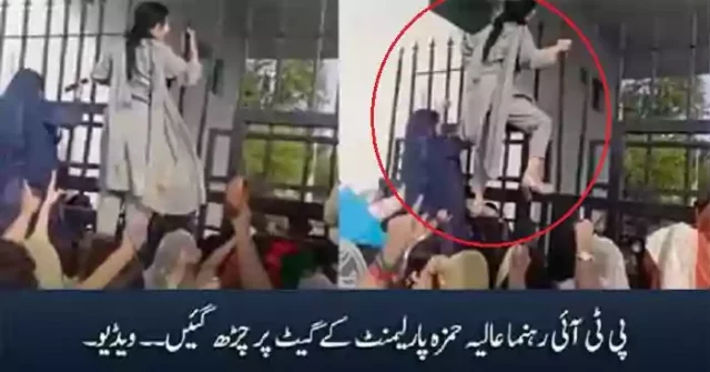 Aliya Hamza Malik Climbed The Parliament Gate Leaked Video Goes Viral On Internet & YouTube Full Details Explained